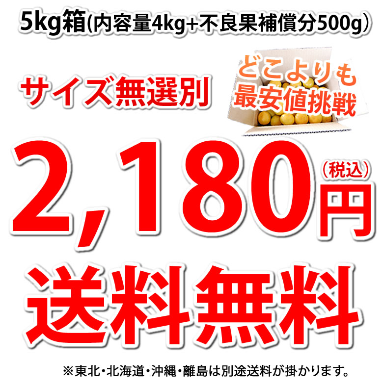 2,180円送料無料
