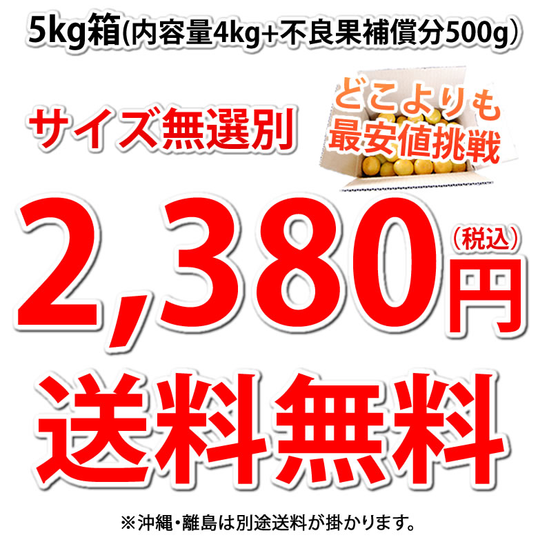 2,380円送料無料