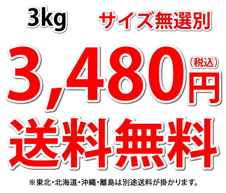 3480円
