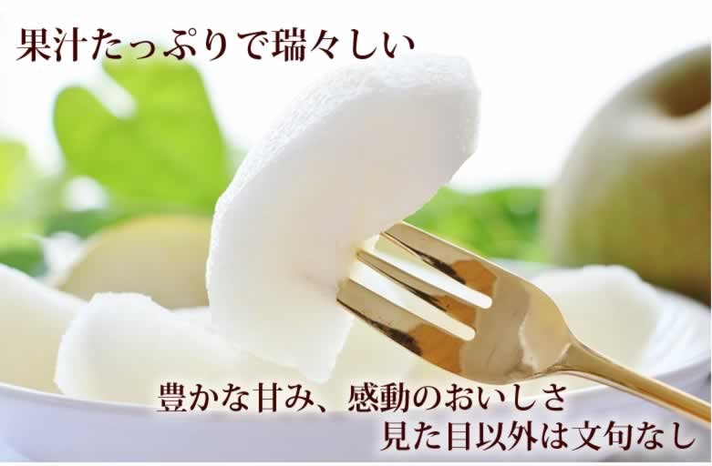 瑞々しい梨