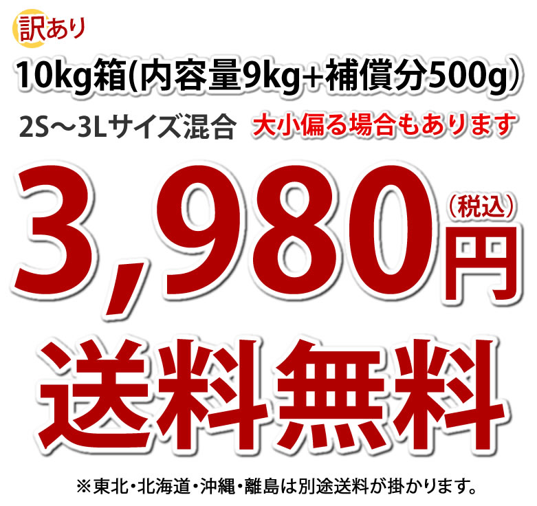 さつまいも シルクスイート 訳あり 10kg 箱込（内容量9kg＋補償分500g