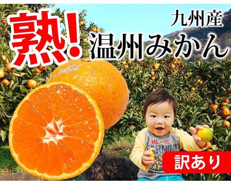 訳あり温州みかん