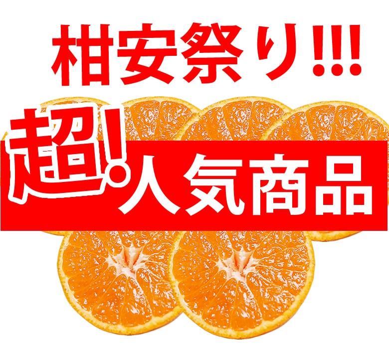 訳あり温州みかん
