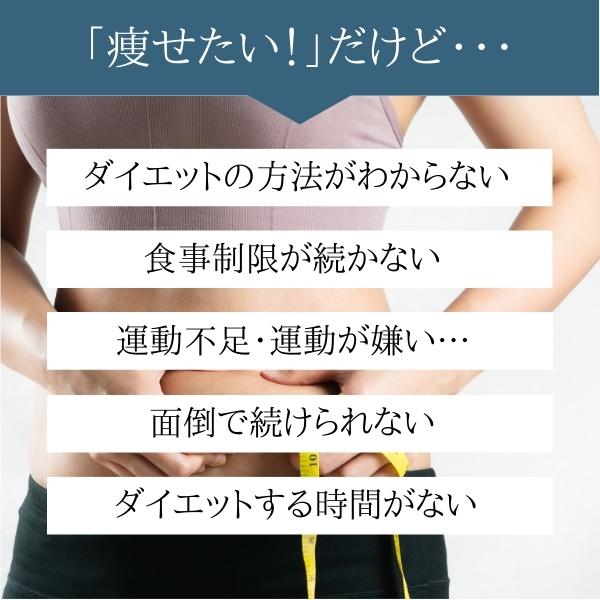 送料無料 ダイエット スリッパ レディース 靴 Su COOL HEALTH notimundo.com.ec