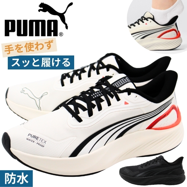 puma312672.jpg