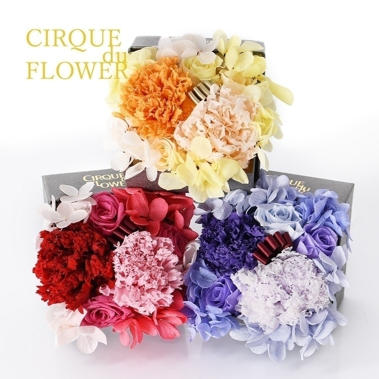 母の日 花 ボリューム プレゼント カーネーション ギフト プリザーブド