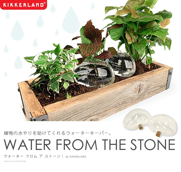 キッカーランド ウォーターキーパー WATER FROM A STONE ウォーター フロム ア ストーン 植物 自動 水やり 水 KIKKERLAND  :waterfromastone:フォーアニュ - 通販 - Yahoo!ショッピング