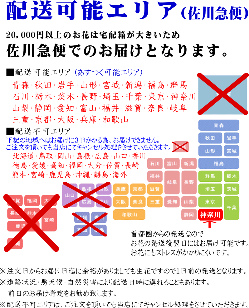 美しい 胡蝶蘭 開店祝い 大輪 白 5本立ち 35 40輪 お祝い ギフト 移転祝い 開業祝い 誕生日祝い 就任祝い 退職祝い 還暦祝い 胡蝶蘭 55 以上節約 Homeofmalones Com