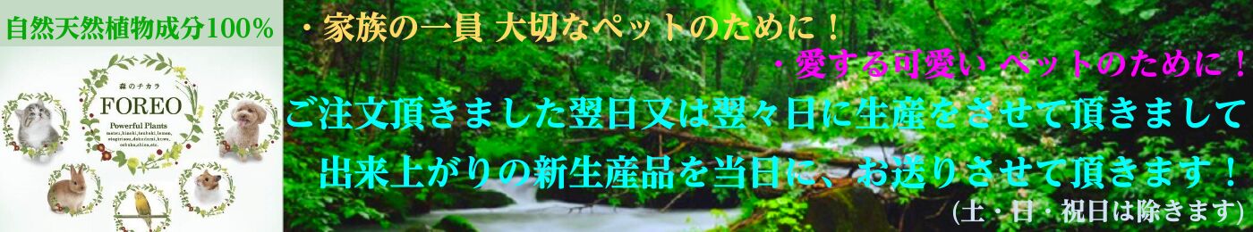 Forest Japan ヘッダー画像