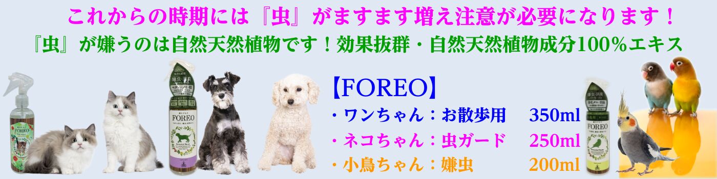 Forest Japan ヘッダー画像