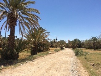 化石・鉱物専門店Fossils