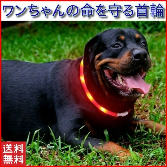 犬 首輪 おしゃれ チョーカー ナイロン ソフト 光る 安全 反射 小型犬