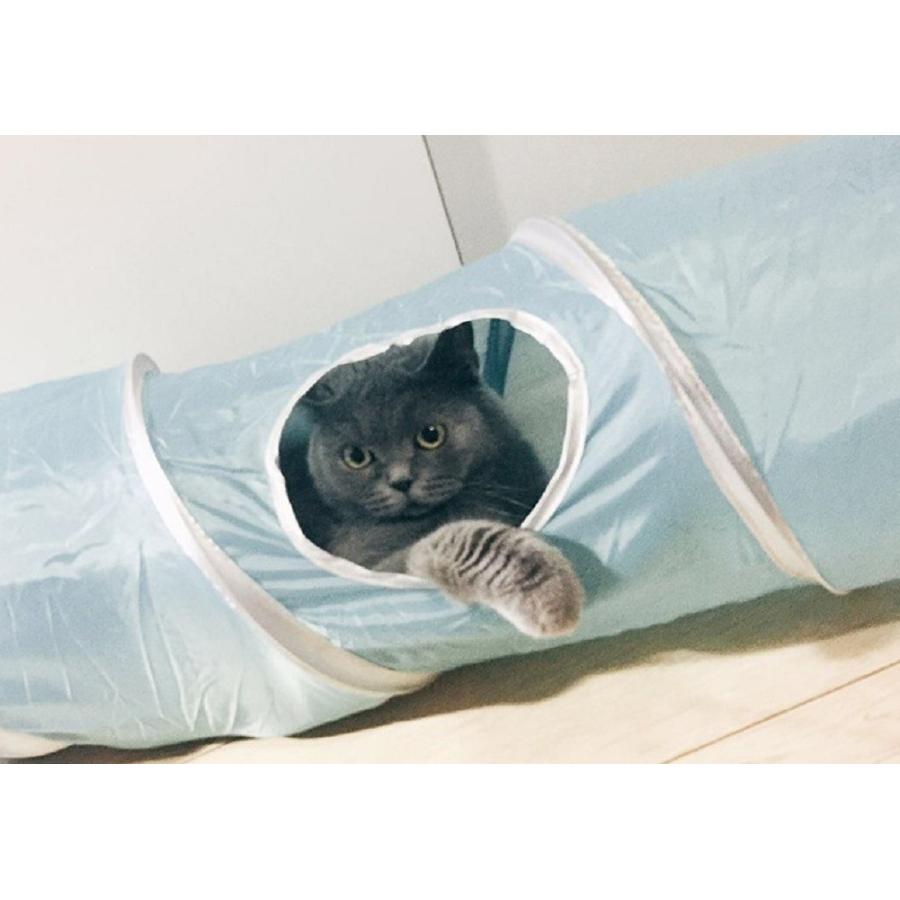 ロシアヤーン/SwitchLightケース/猫じゃらし・猫ボール ロシアヤーン/SwitchLightケース/猫じゃらし・猫ボール