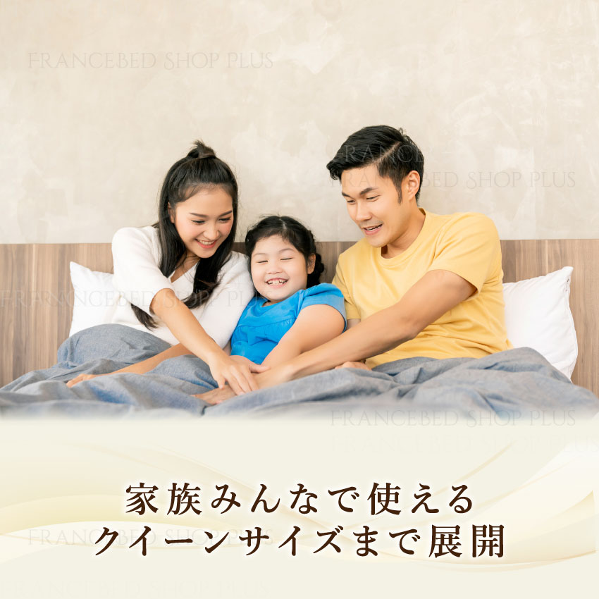 フランスベッド（FRANCEBED） 【日曜日+5%】 正規品 ベッドフレーム