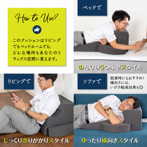 フランスベッド（FRANCEBED） 正規品 横向き寝まくら 横向き 専用 枕