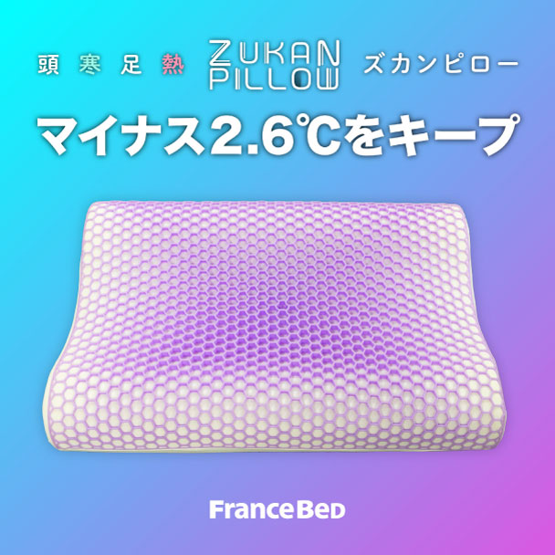 フランスベッド（FRANCEBED） 【BONUS優良ストア】 正規品 枕 まくら