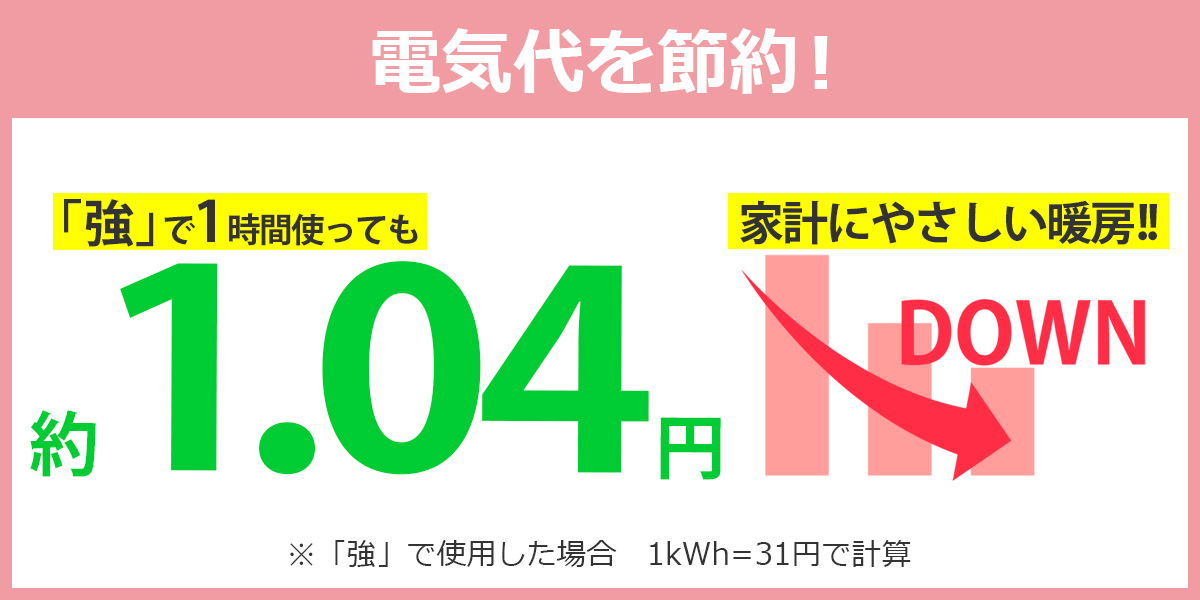 FREEDAN(フリーダン) 電気毛布 ひざ掛け 電気ひざ掛け 約130×80cm