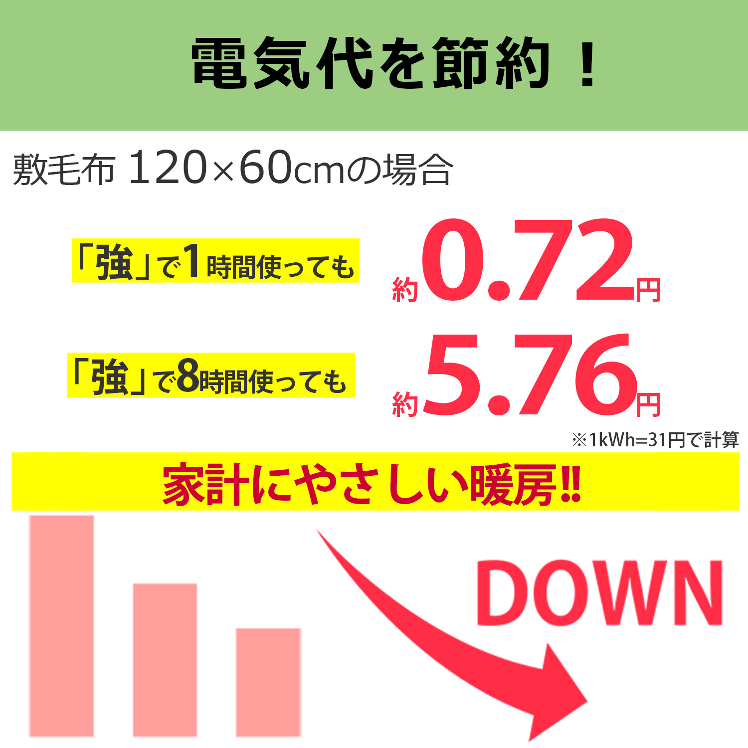 電気毛布 敷き 120×60cm 洗える シングル 