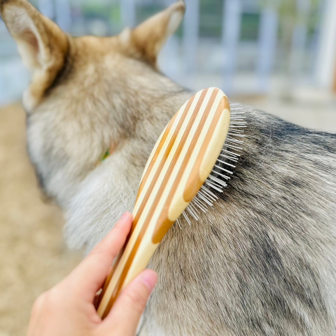 BASS BRUSHES ペット用ブラシ ピンブラシ 獣毛ブラシ 猪毛 もつれ