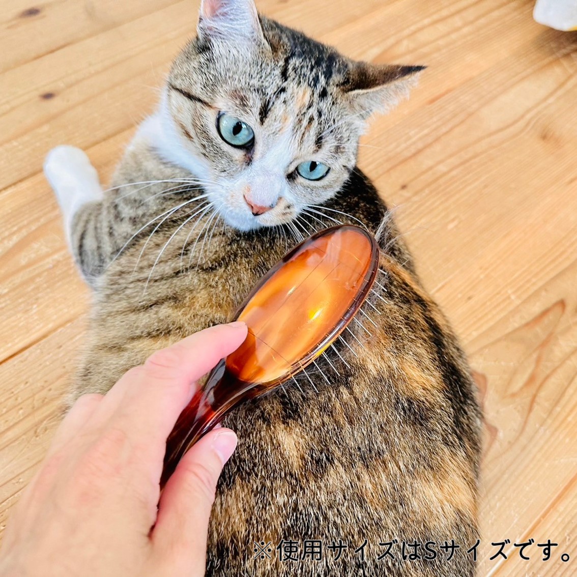 BASS BRUSHES ペット用ブラシ ピンブラシ 仕上げ用 ブラッシング BASS