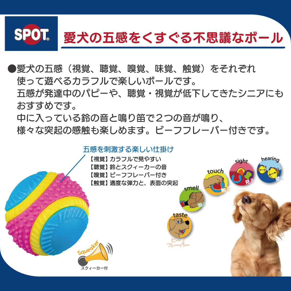 PLATZ 犬 ボール おもちゃ ドッグトイ カラフル 五感 鈴 スクイーカー