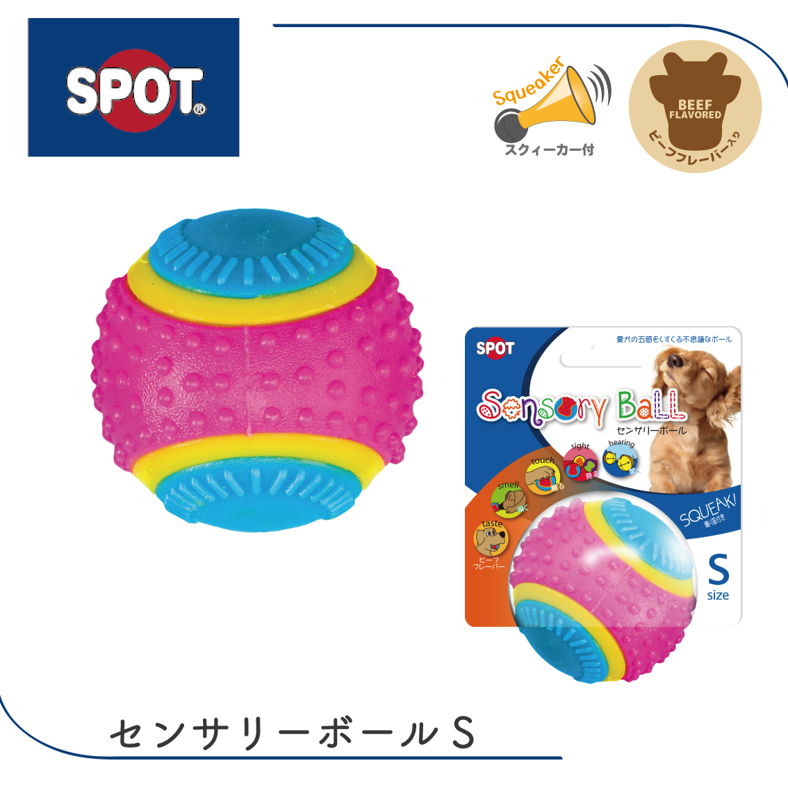 PLATZ 犬 ボール おもちゃ ドッグトイ カラフル 五感 鈴 スクイーカー