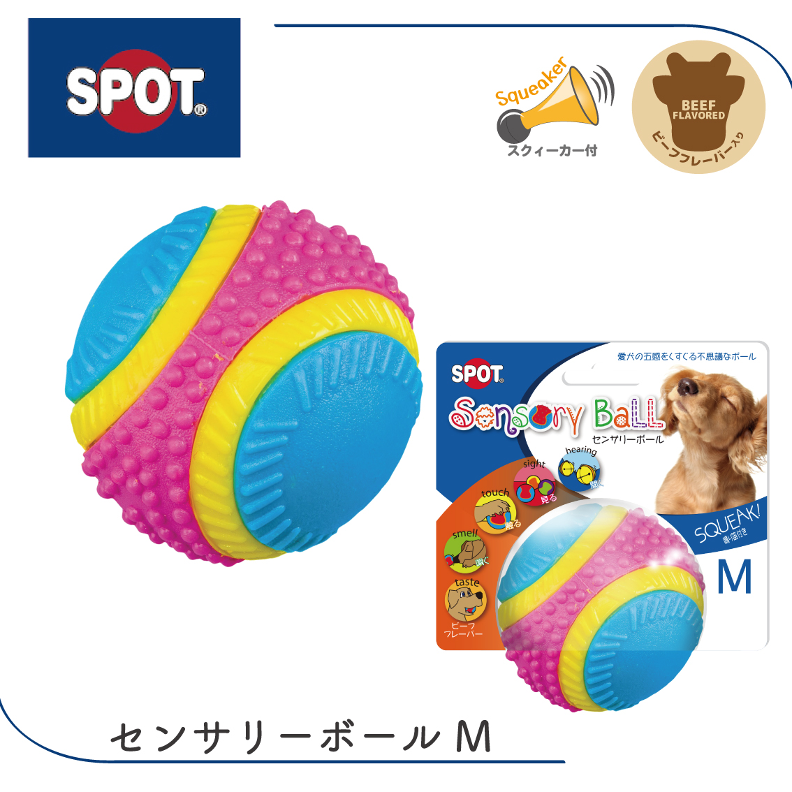 PLATZ 犬 ボール おもちゃ ドッグトイ カラフル 五感 鈴 スクイーカー