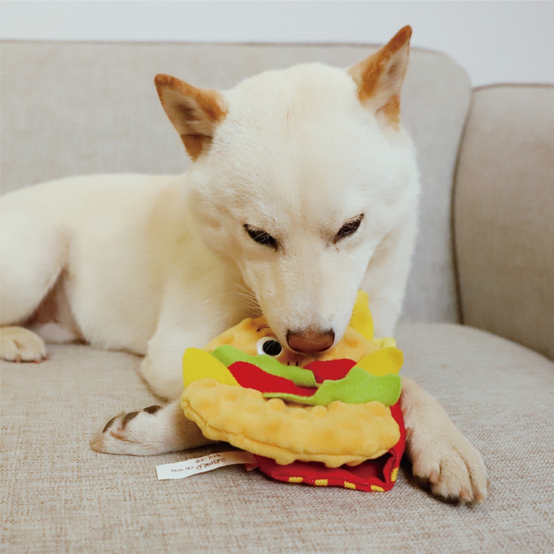 インディーズソフビ バディドッグ　BUDDY DOG フィギュア　犬 GiGwi 犬 おもちゃドッグトーイ 知育トーイ ぬいぐるみ フード おやつ