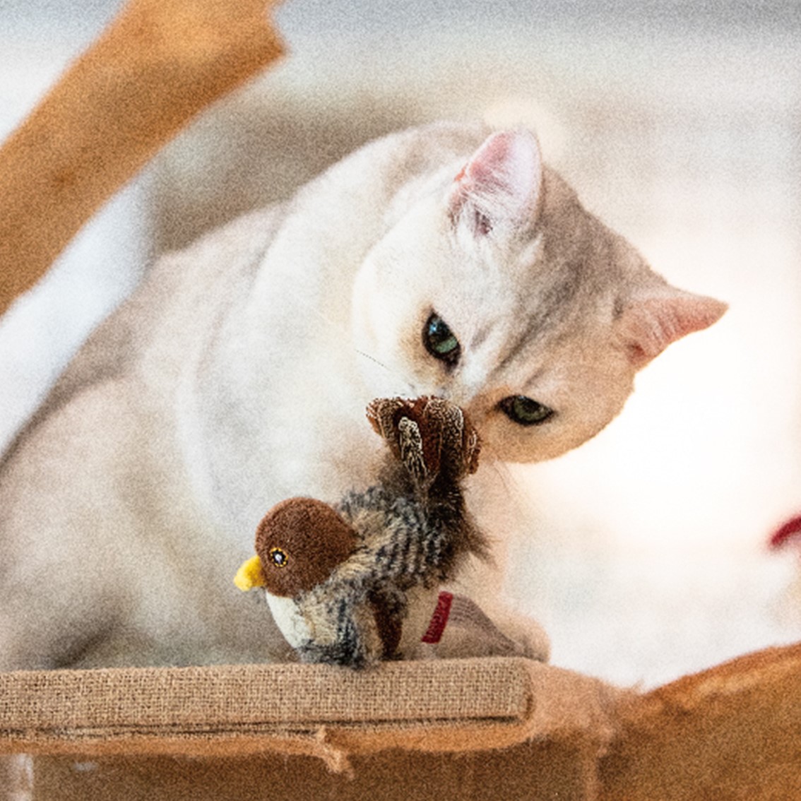 GiGwi 猫 猫おもちゃ ぬいぐるみ キャットトイ サウンドチップ