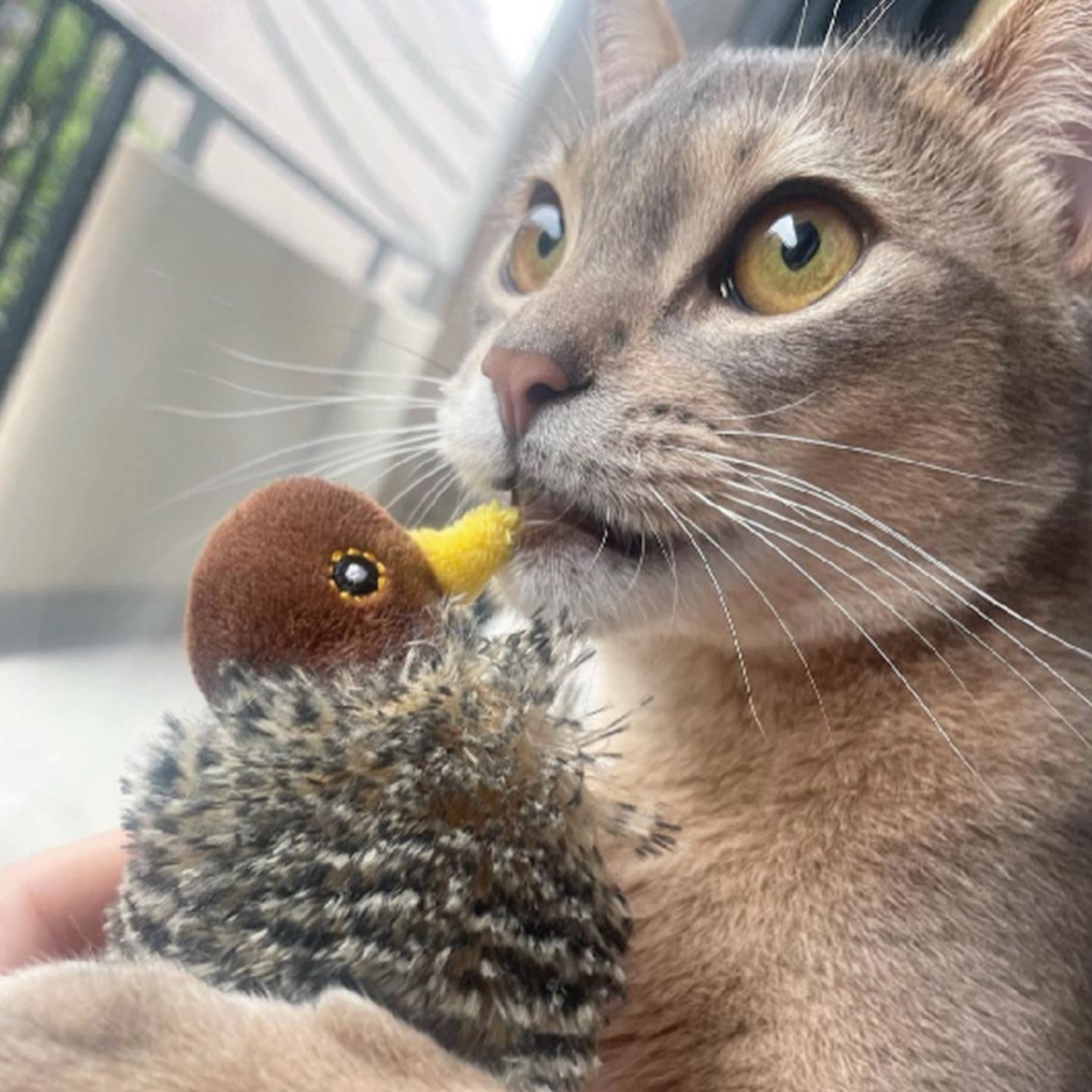 GiGwi 猫 猫おもちゃ ぬいぐるみ キャットトイ サウンドチップ