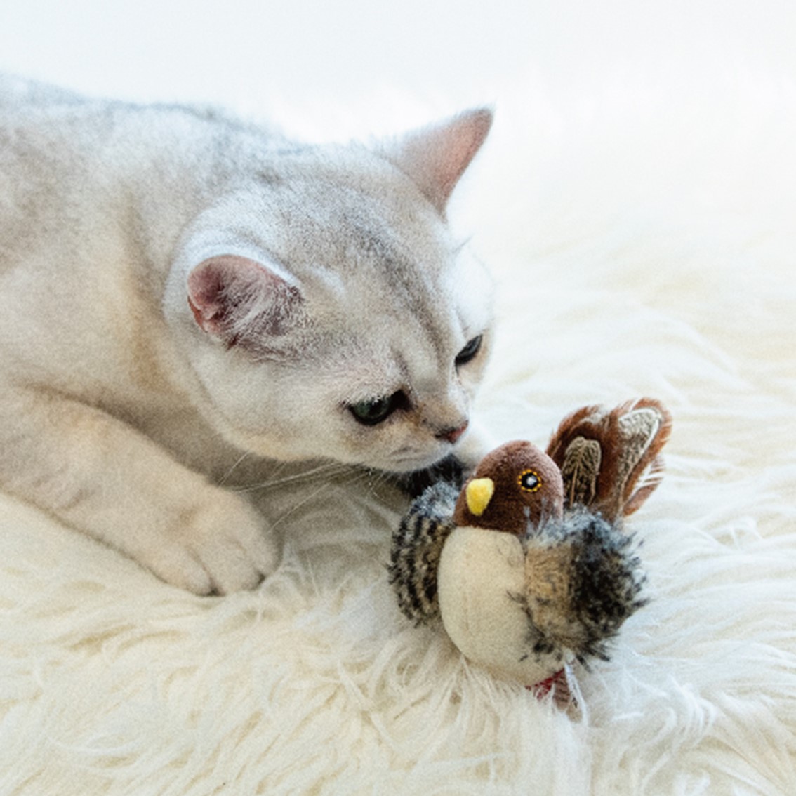 猫のおもちゃ Amazon | ziyue 猫のおもちゃ 7in1多機能 LEDにゃんだろー光線