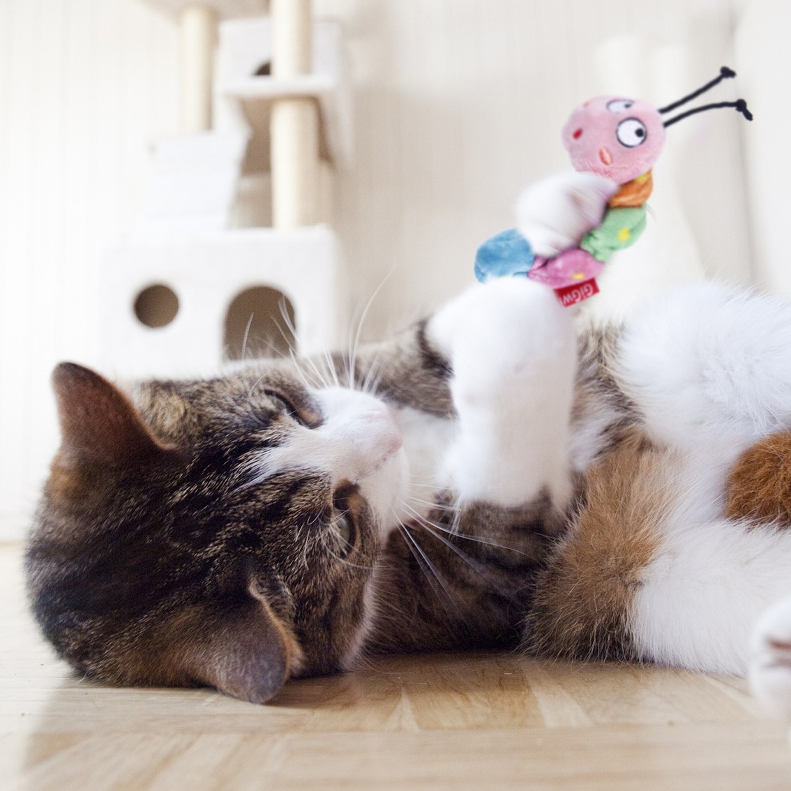 GiGwi 猫 おもちゃ キャットトーイ ぬいぐるみ オーガニック
