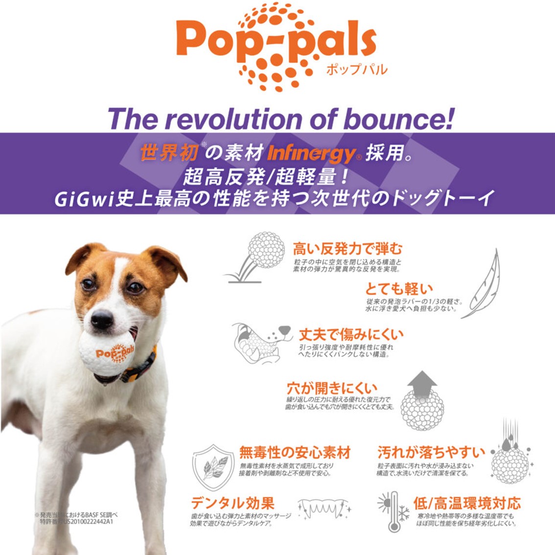 GiGwi 犬 ボール 犬おもちゃ 高反発 軽量 壊れにくい 丸洗い