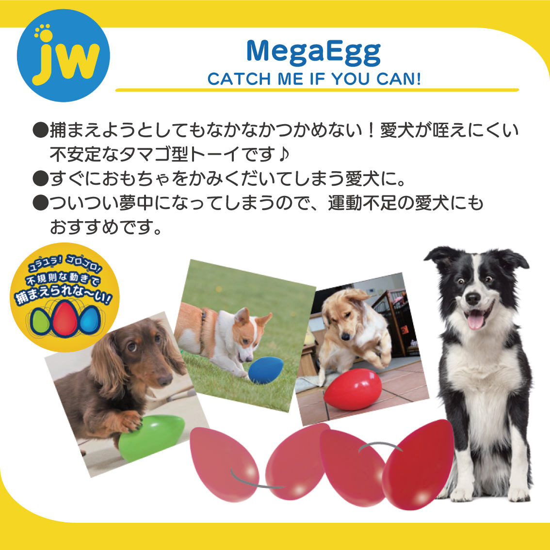 JW PET タマゴ型 コロコロ ゆらゆら ドッグトイ 不規則 つかめない
