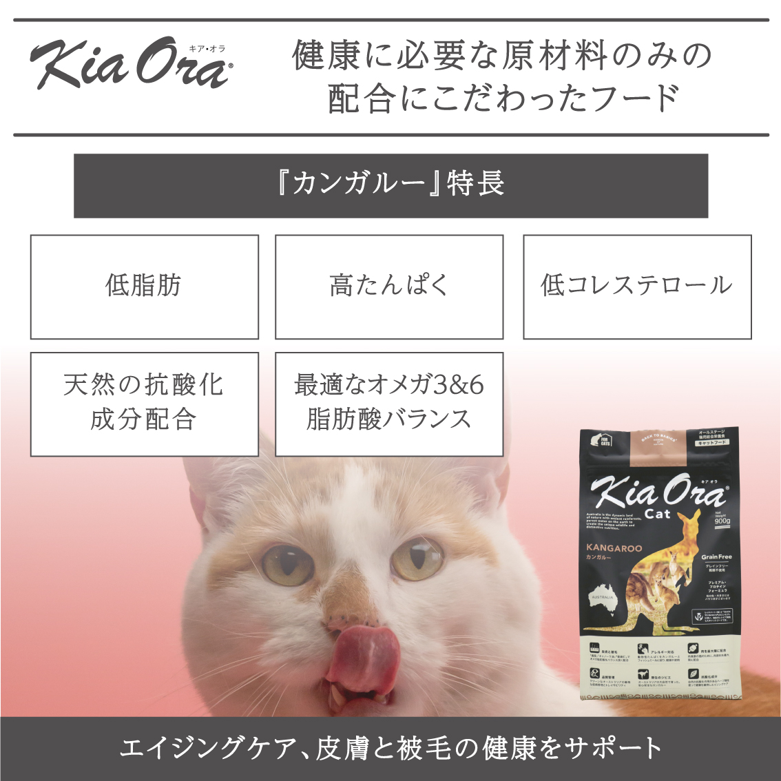 Amazon.co.jp: バックトゥベーシックス キアオラ KiaOra