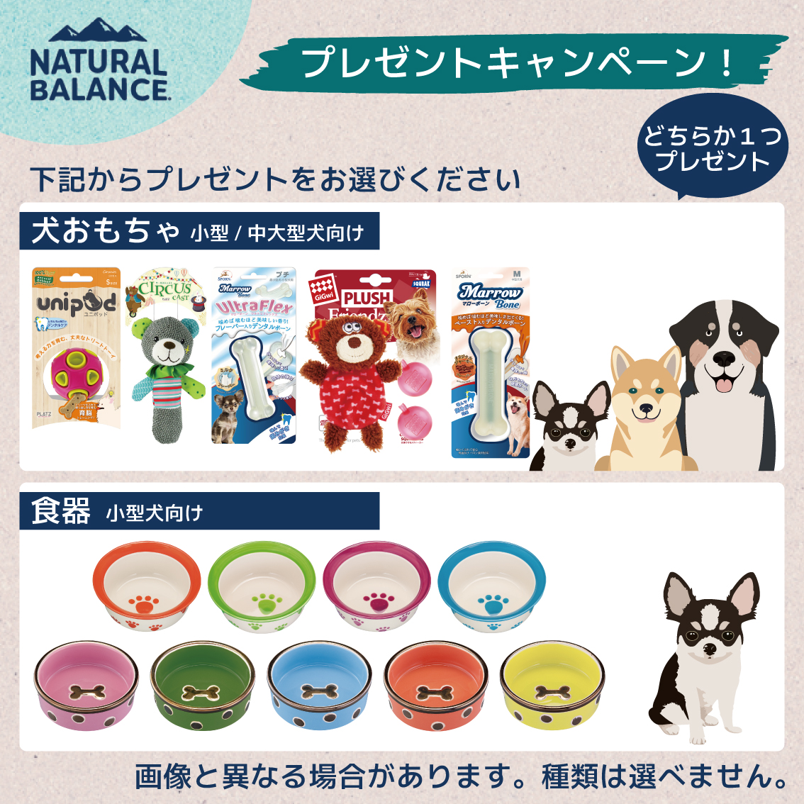 Natural Balance（ナチュラルバランス） 【キャンペーン実施中