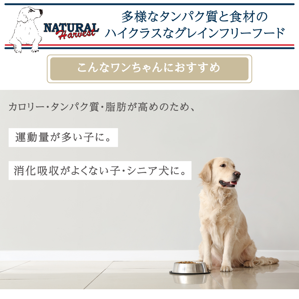 2袋セット ドッグフード 犬 ごはん ドライ おすすめ 真空パック 成犬