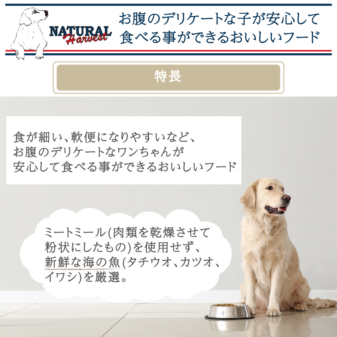 ナチュラルハーベスト（NATURAL harvest） おなかにやさしいフード