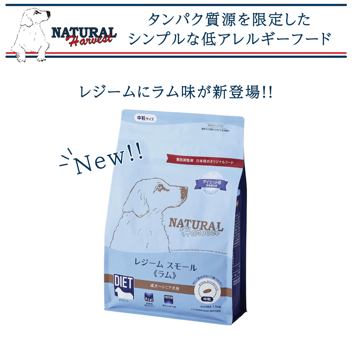 ナチュラルハーベスト レジーム スモール ラム 1.1kg ドッグフード 犬