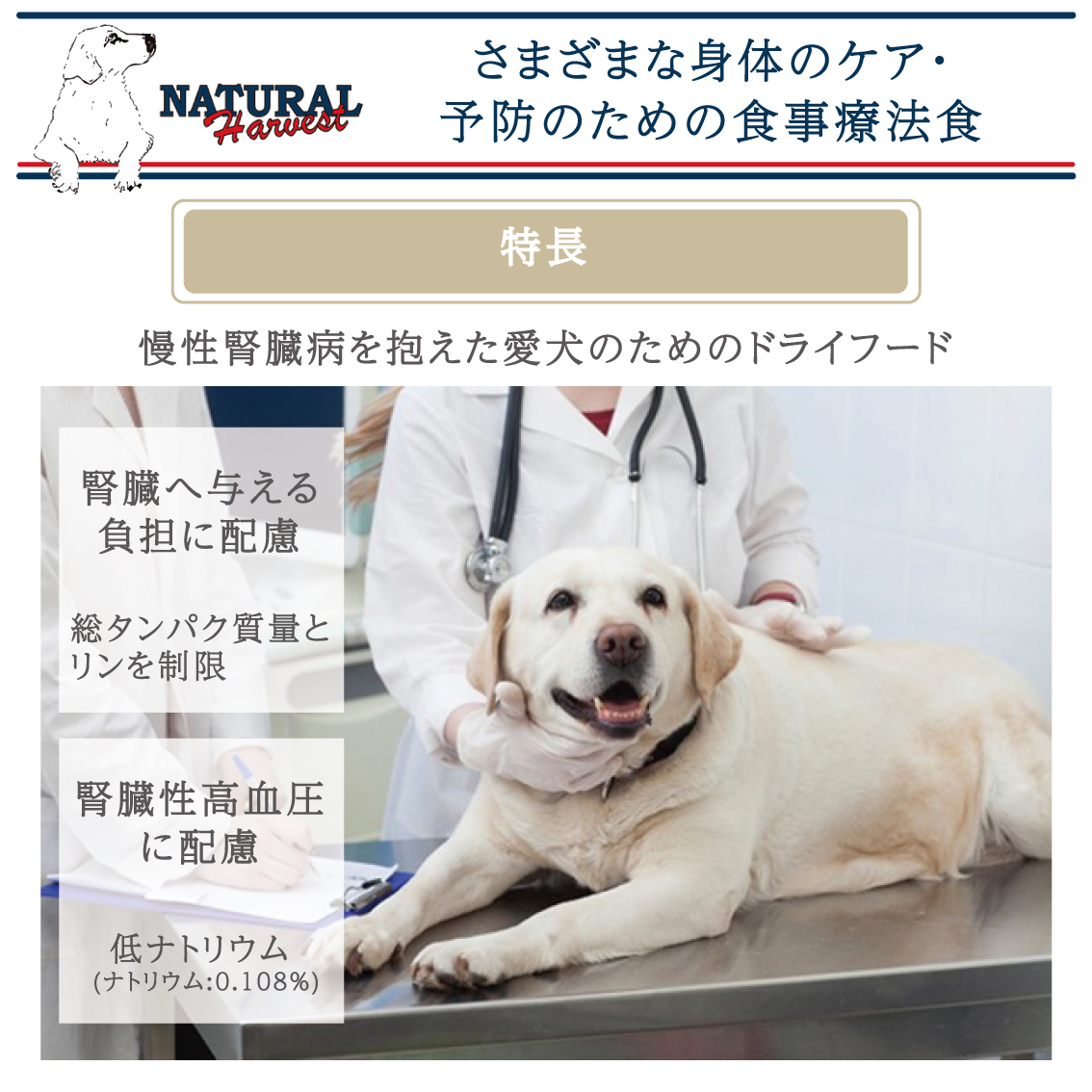 ナチュラルハーベスト キドニア 腎臓ケア ドッグフード 犬