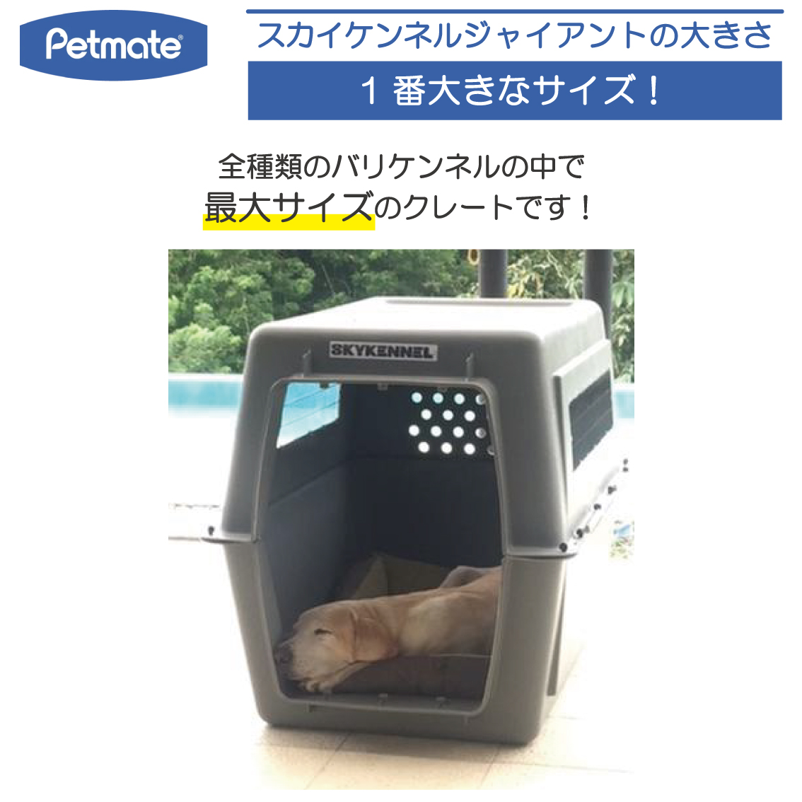 バリケンネル キャリー クレート 両開き 大型犬 超大型犬 お出かけ 飛行機 飛行機輸送 災害時 IATA ペットメイト スカイケンネル Gサイズ