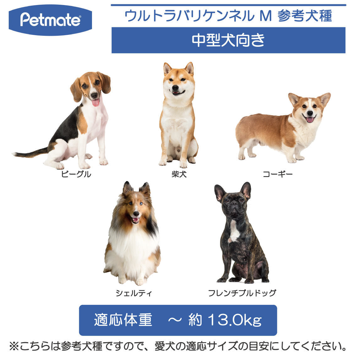 ハードキャリー 犬 クレート ハードクレート キャリー キャリーケース 小型犬 中型犬 P200 正規代理店 IATA Petmate ペットメイト  ウルトラバリケンネル Mサイズ : pm21561 : FREE BIRD Yahoo!店 - 通販 - Yahoo!ショッピング