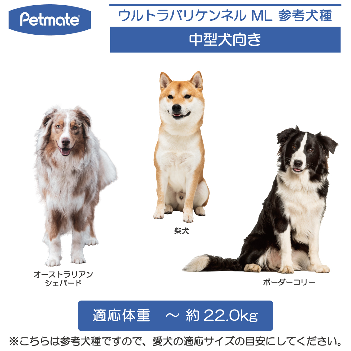 ハードキャリー 犬 クレート ハードクレート キャリー キャリーケース コンテナ 中型犬 P300 正規代理店 IATA Petmate ペットメイト  ウルトラバリケンネル ML : pm21562 : FREE BIRD Yahoo!店 - 通販 - Yahoo!ショッピング