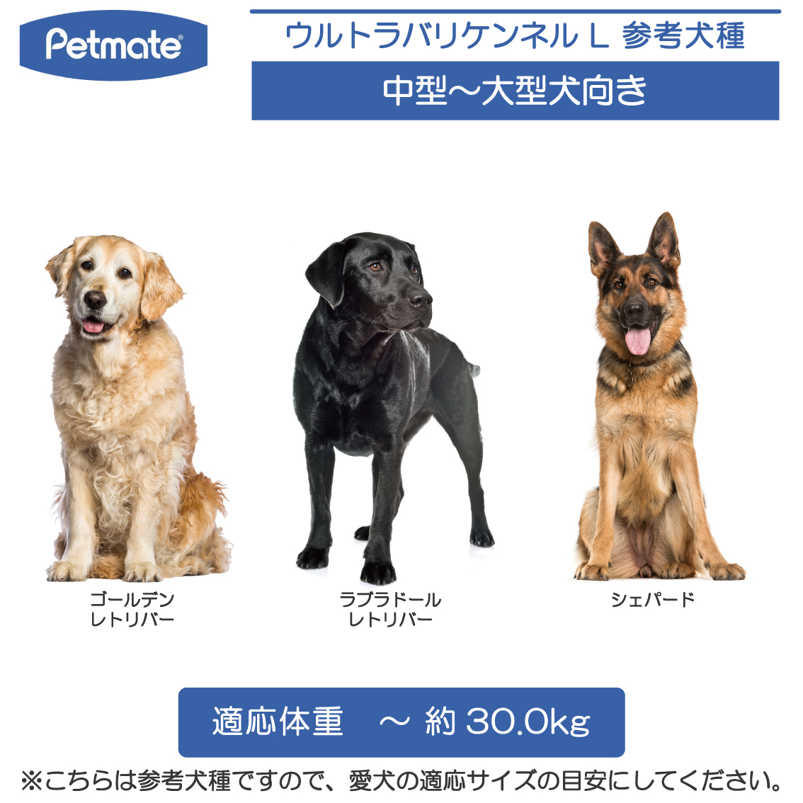 ハードキャリー 犬 クレート ハードクレート キャリー キャリーケース