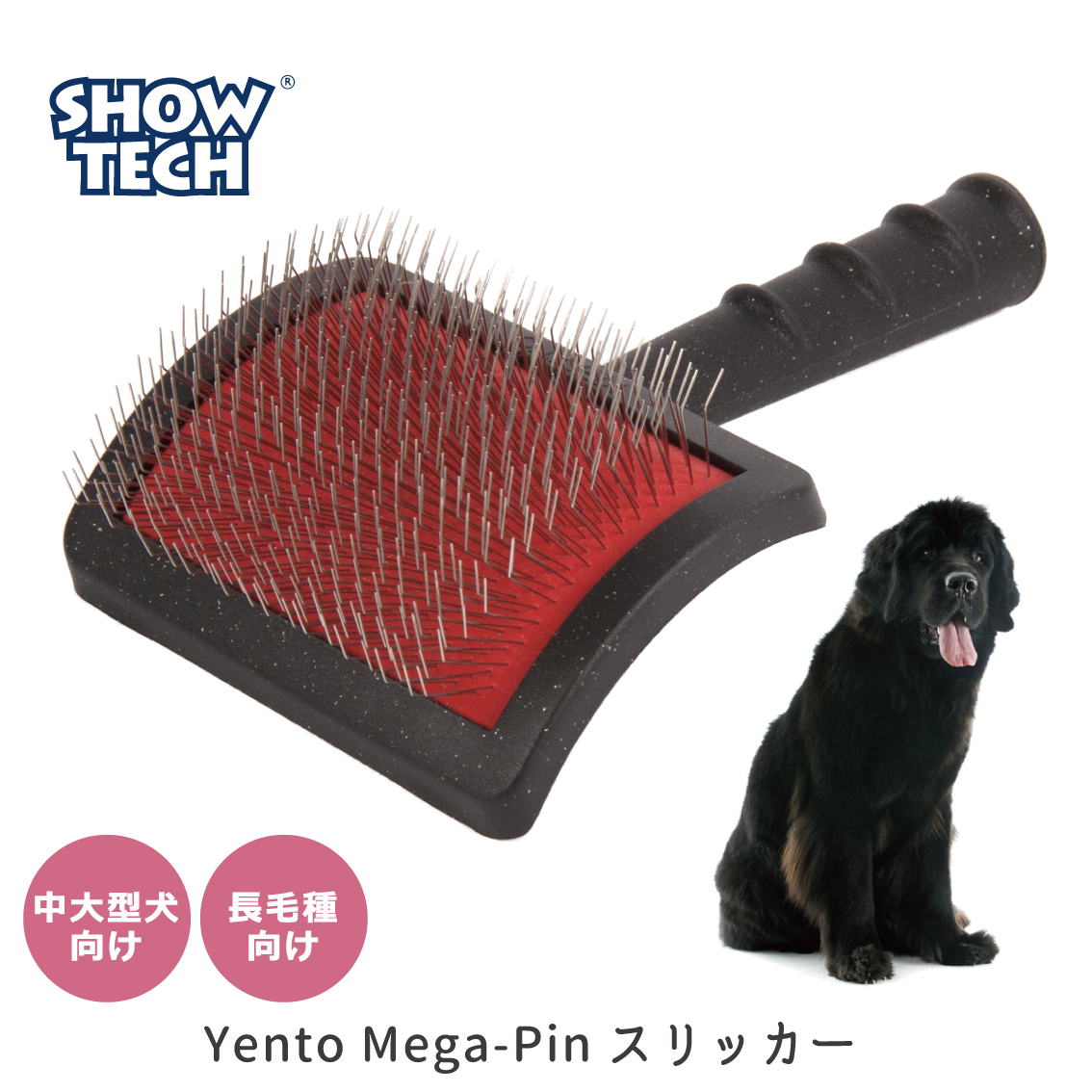 【ファング】Biogance 犬用スリッカーブラシ 木製 freebirdcorp_tr25se011