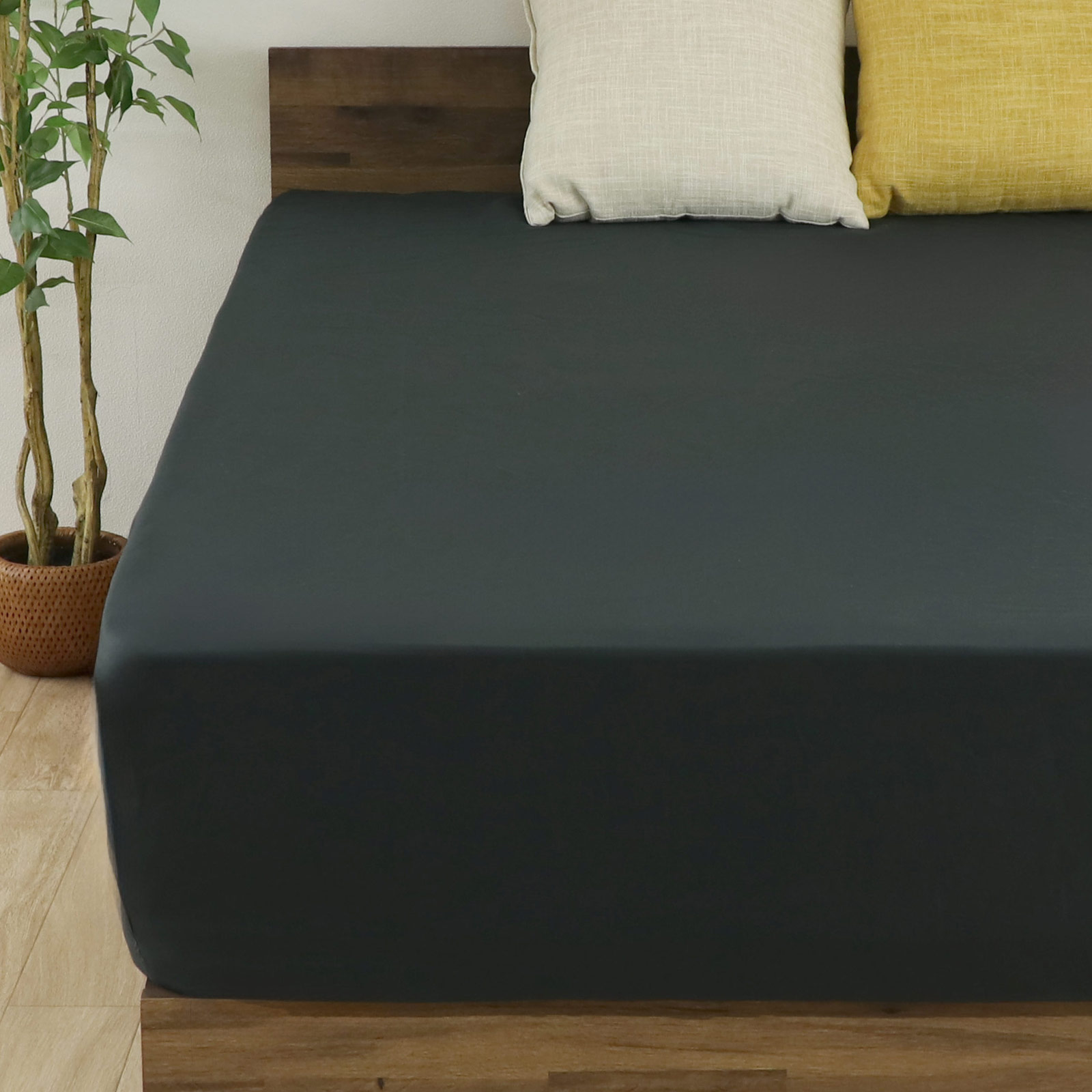 FREE LIFE（フリーライフ） ボックスシーツ 綿100％ セミダブル 120