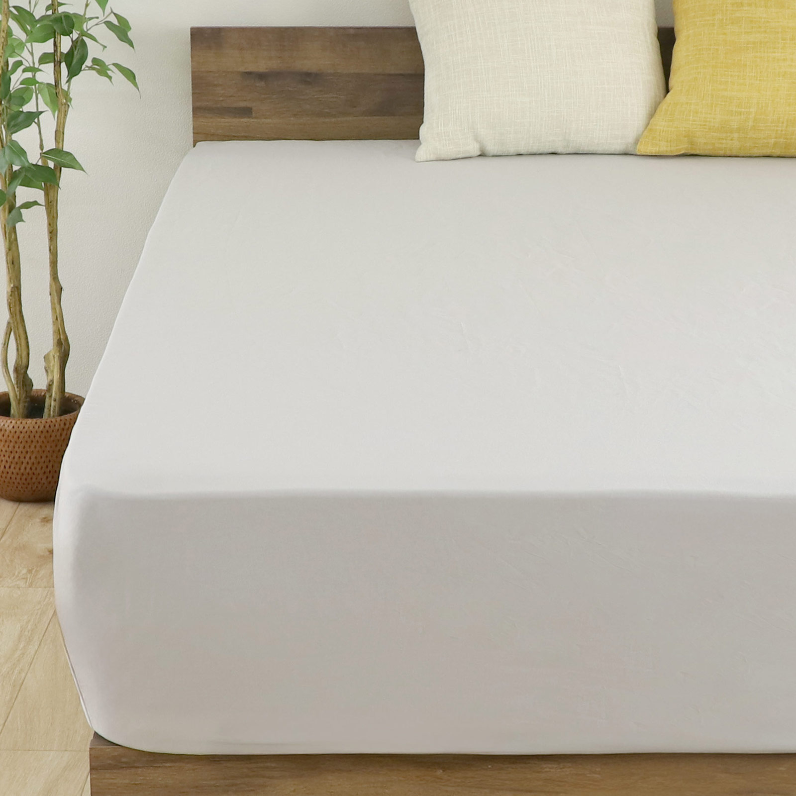 FREE LIFE（フリーライフ） ボックスシーツ 綿100％ シングル 100