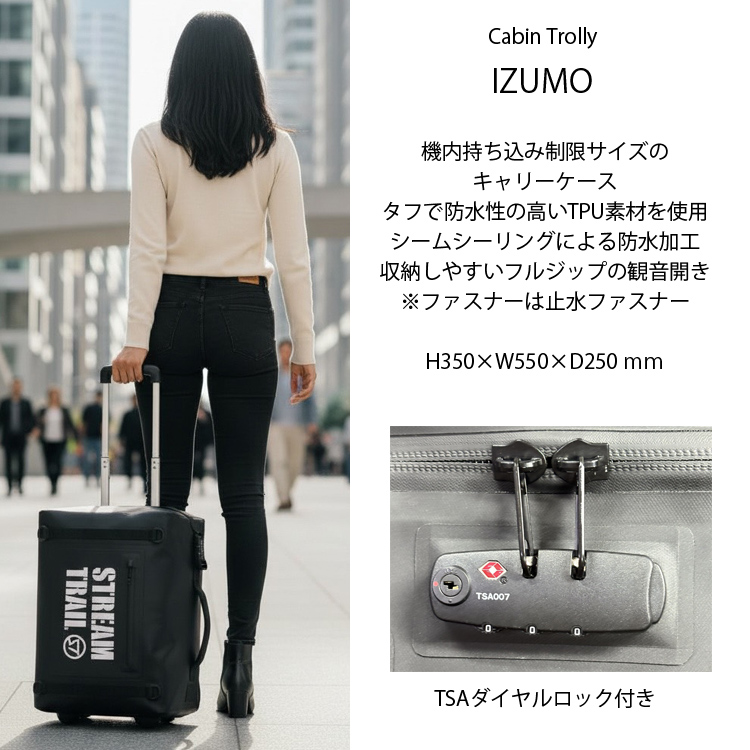 機内持ち込みバッグ