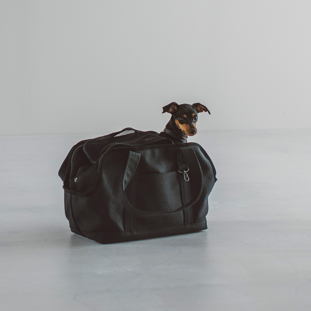 フリーステッチ ヤフー店 - carry bag｜Yahoo!ショッピング