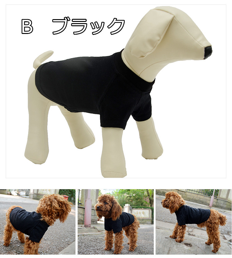 シンプル Tシャツ 無地 コットン デイリーTシャツ 綿100％ フレブル